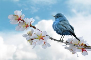 Obituario de Merilyn Lee Sandahl