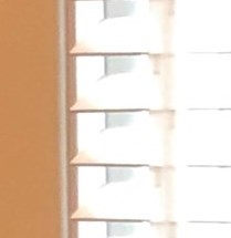 Mary Taylor Obituary Raleigh, NC