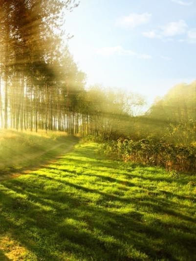 Avis de décès de Susan Kathleen Moyra Scott