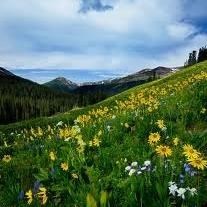 Obituary of Marie Louise Monroe