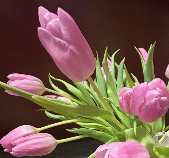 Obituario de Laura Tristan Vargas