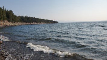 Obituary of Judith Ann Chase