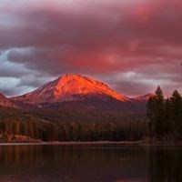 Obituary of Roger Wallace Zahniser