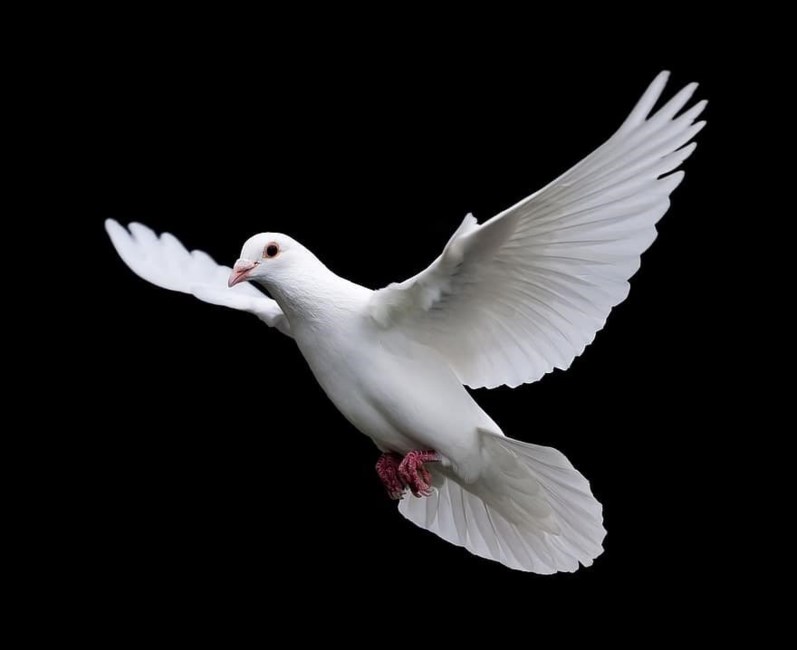 Obituary of Benjamin Robert Brillhart