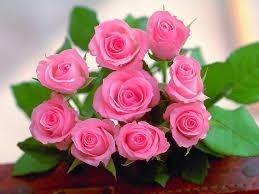 Obituary of Marguerite Galatis Croley Plasman