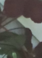 hand lettering alphabet worksheet: Cassie Flowers Rogers Ar / Weddings