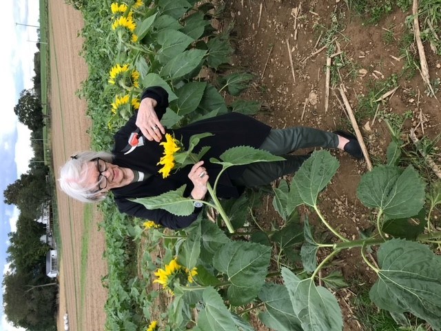 Obituary of Judith Lee Clark