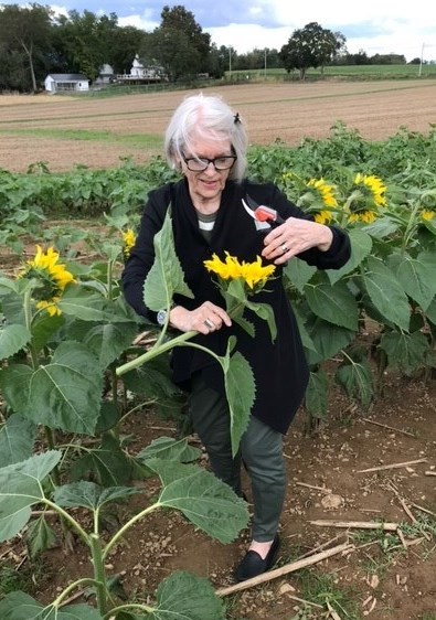 Obituary of Judith Lee Clark