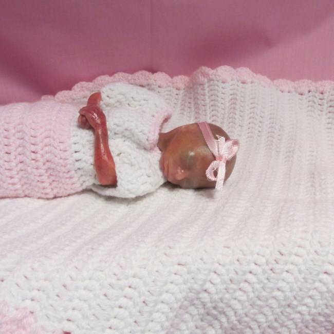 Obituary of Brooklynn Heaven Hatfield Spires