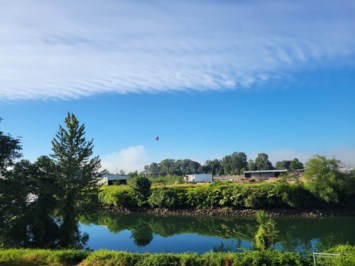 Obituary of Lovis Elizabeth Parkhurst