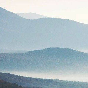 Obituary of Rodger Patrick Noack