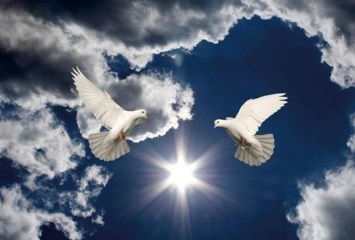 Obituary of Rolando Molina