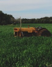 Obituary of Albert Rose,Jr.