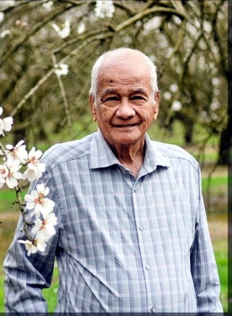 Obituary of Fernando D. Sison Sr.