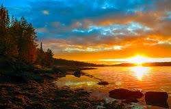 Obituary of Sharon Rae Price