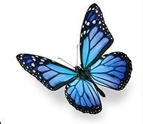 Obituary of Burneta Donges