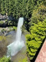 Obituary of Martin Bowman