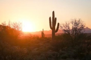 Obituary of Jamee Lee Strong