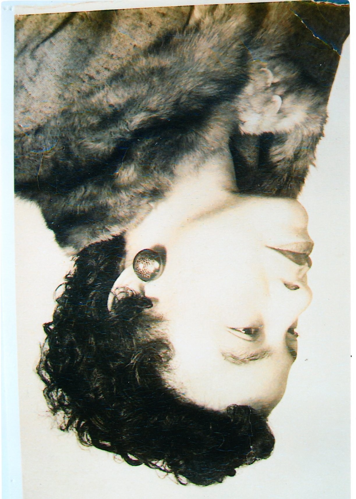 Obituary of Irene Reynolds