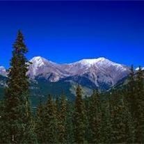 Obituary of Phyllis Pauline Guffy