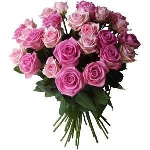 Obituario de Marjorie Eileen Thompson