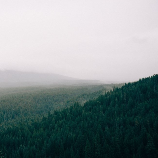 Obituary of Richard Michael Helenberger