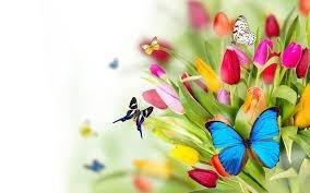 Obituary of Dorothy C. Stone