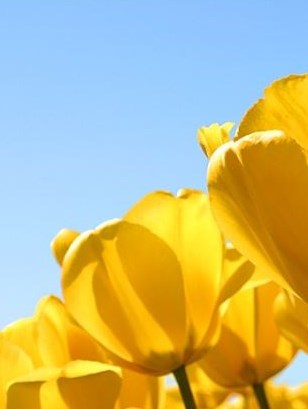 Obituary of John Casey O'Gorman