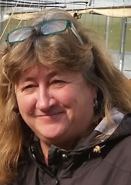 Obituary of Laurie Ann Chapman