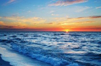 Obituary of Gregory McGowan