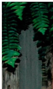 Eric Fowler Obituary - Waynesville, NC