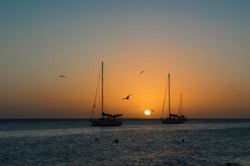 Obituary of Francis Hoffman