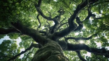 Obituary of Horace George King