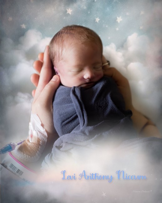 Obituary of Levi Anthony Niccum
