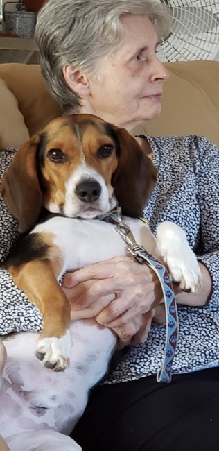 Obituario de Carolyn Cox