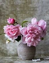 Obituary of Nellie Jean White Anderson