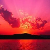 Obituary of Anna Marie Borghese