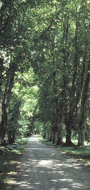 Obituary of Edward R Reynolds