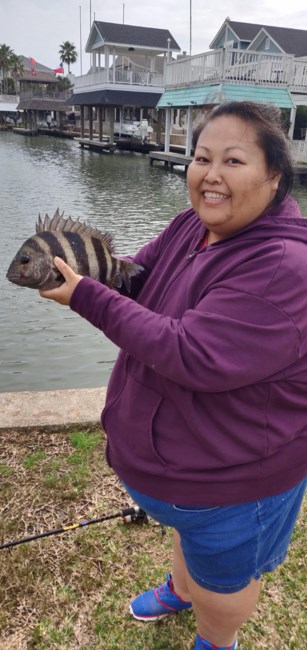 Obituary of May Ying Vang