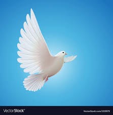 Obituary of Angel Murillo