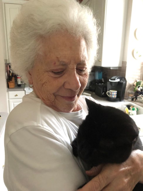 Obituary of Nannette Elvira D'Amato