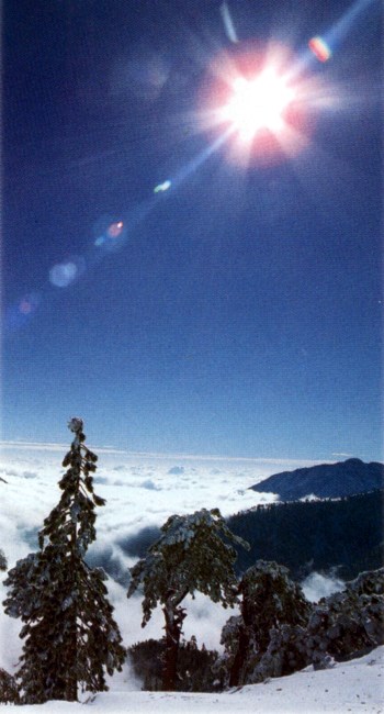 Obituary of William Manly Nix