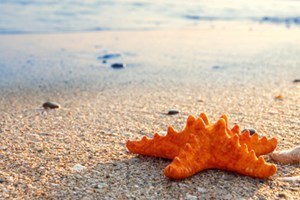 Avis de décès de Mayra Denisse Vazquez