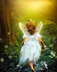 Obituary of Charlotte Caroline Anderson