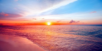 Obituary of Debra Danis Seiden