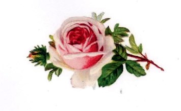 Obituary of Jessica Rose Brant