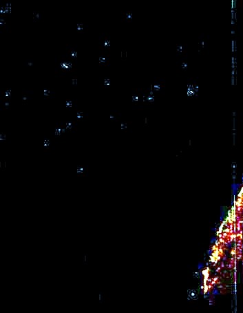 Lois Langley Obituary Ormond Beach, FL