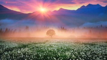 Obituary of Pedro Israel Yanez- Chavez