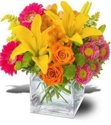 Obituary of Mary A. Lamont