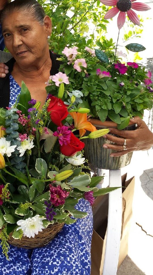 Obituary of Daria Ledesma